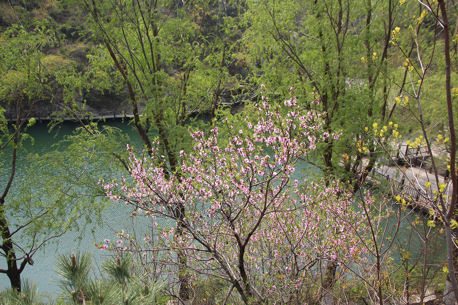 2021，濟南辰達(dá)試驗機制造有限公司九如山一日游！